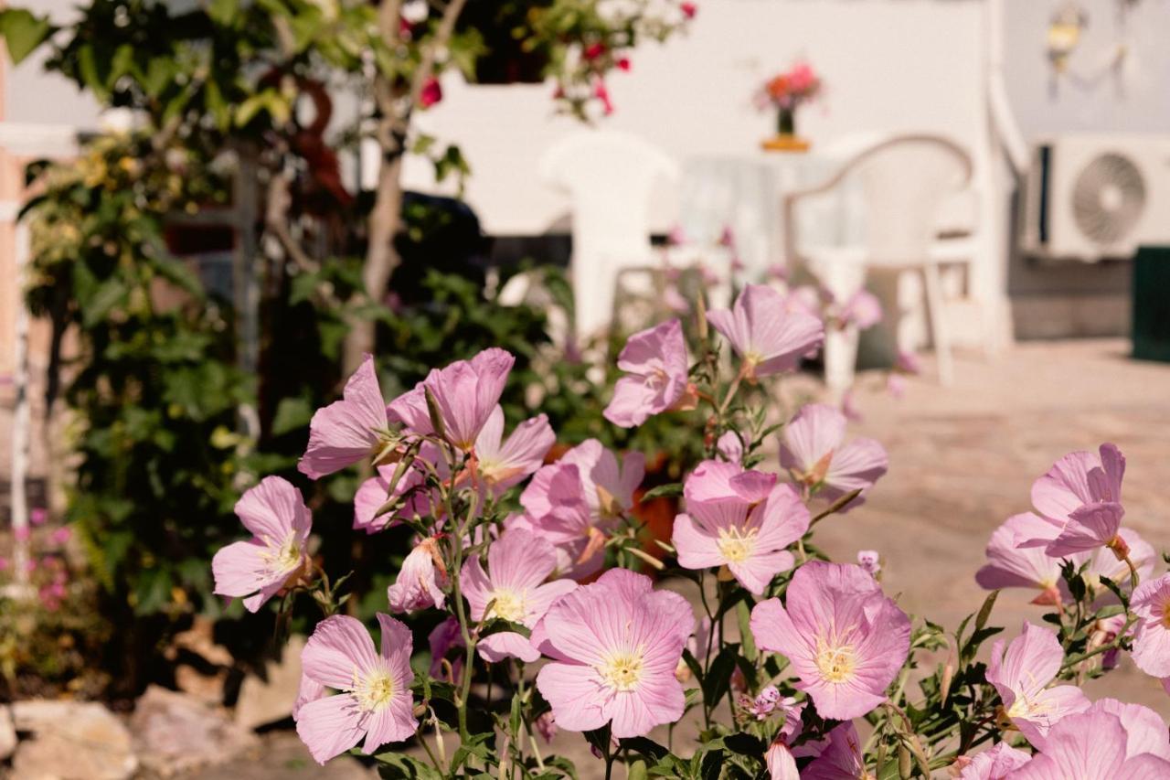 Irene'S Home Igoumenitsa Luaran gambar