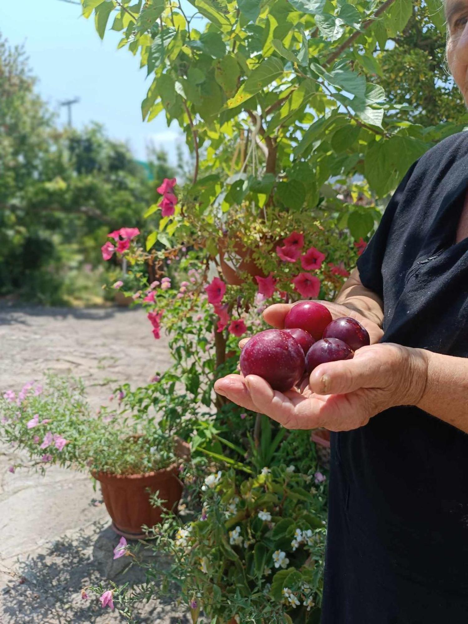 Irene'S Home Igoumenitsa Luaran gambar