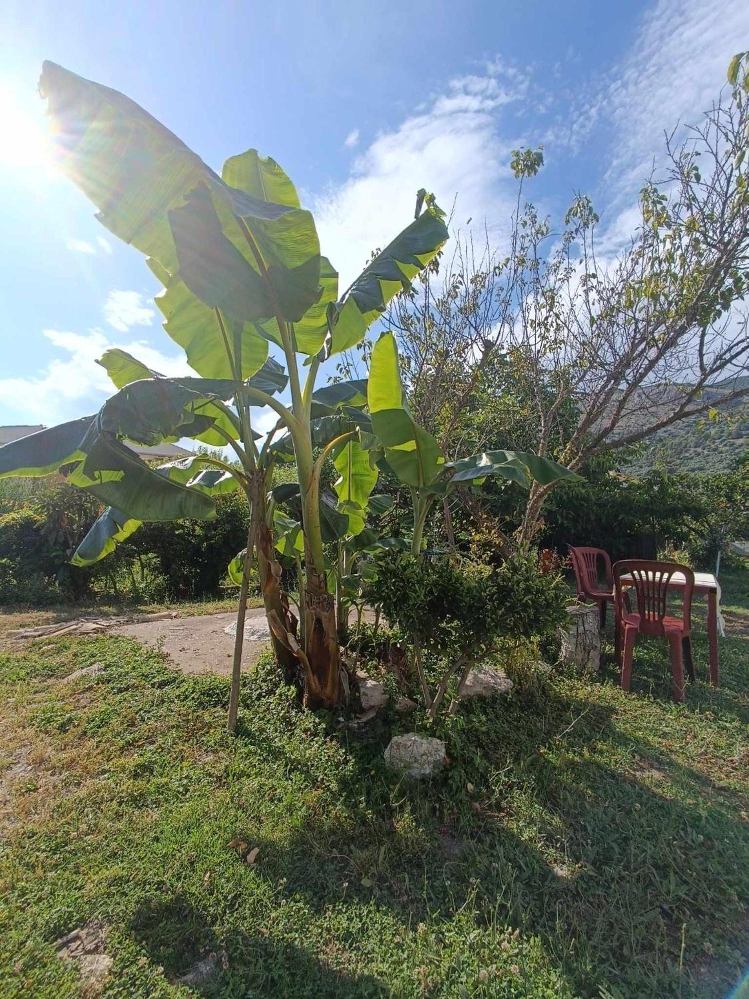 Irene'S Home Igoumenitsa Luaran gambar