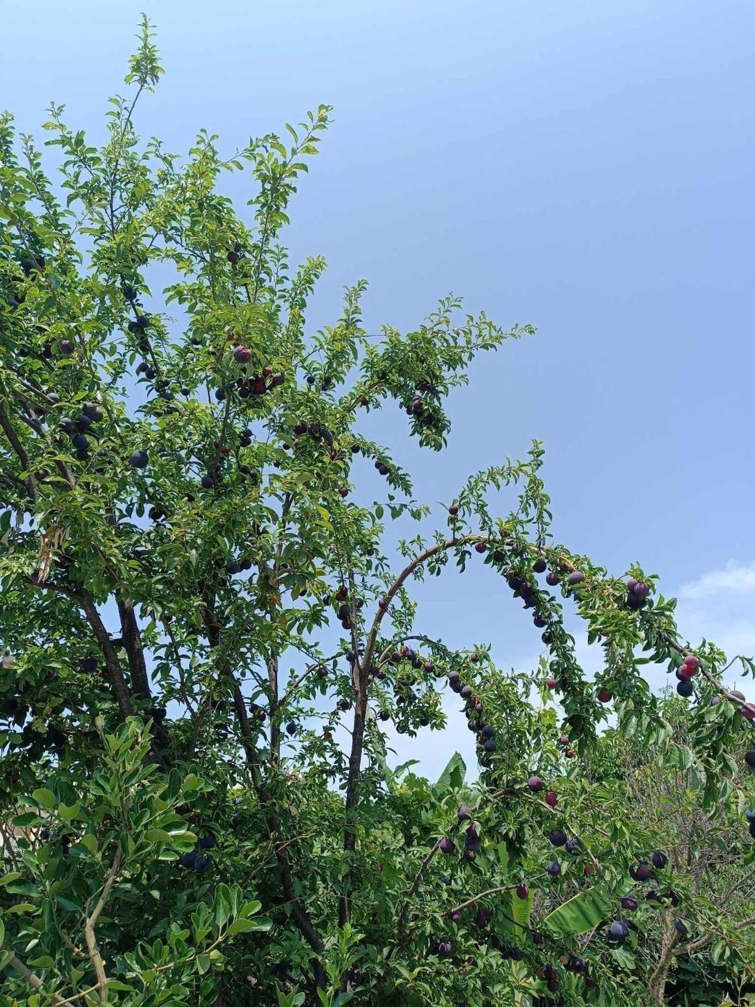 Irene'S Home Igoumenitsa Luaran gambar